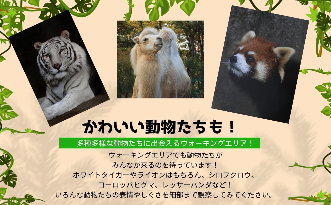 東北サファリパーク入園チケット大人2名（ 入園チケット＋草食動物のエサ）【東北サファリパーク】