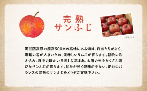 《2025年12月上旬以降発送》羽山りんご 完熟サンふじ 3kg【羽山果樹組合】