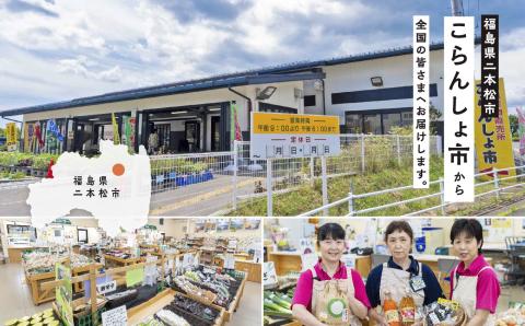 令和7年産 コシヒカリ あだちのめぐみ 10kg【JAふくしま未来 こらんしょ市】