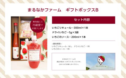 まるなかファーム　ギフトボックスB【まるなかファーム】