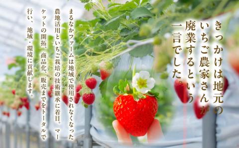 《2026年1月3日～5月23日開園》いちご狩り入場チケット【まるなかファーム株式会社】