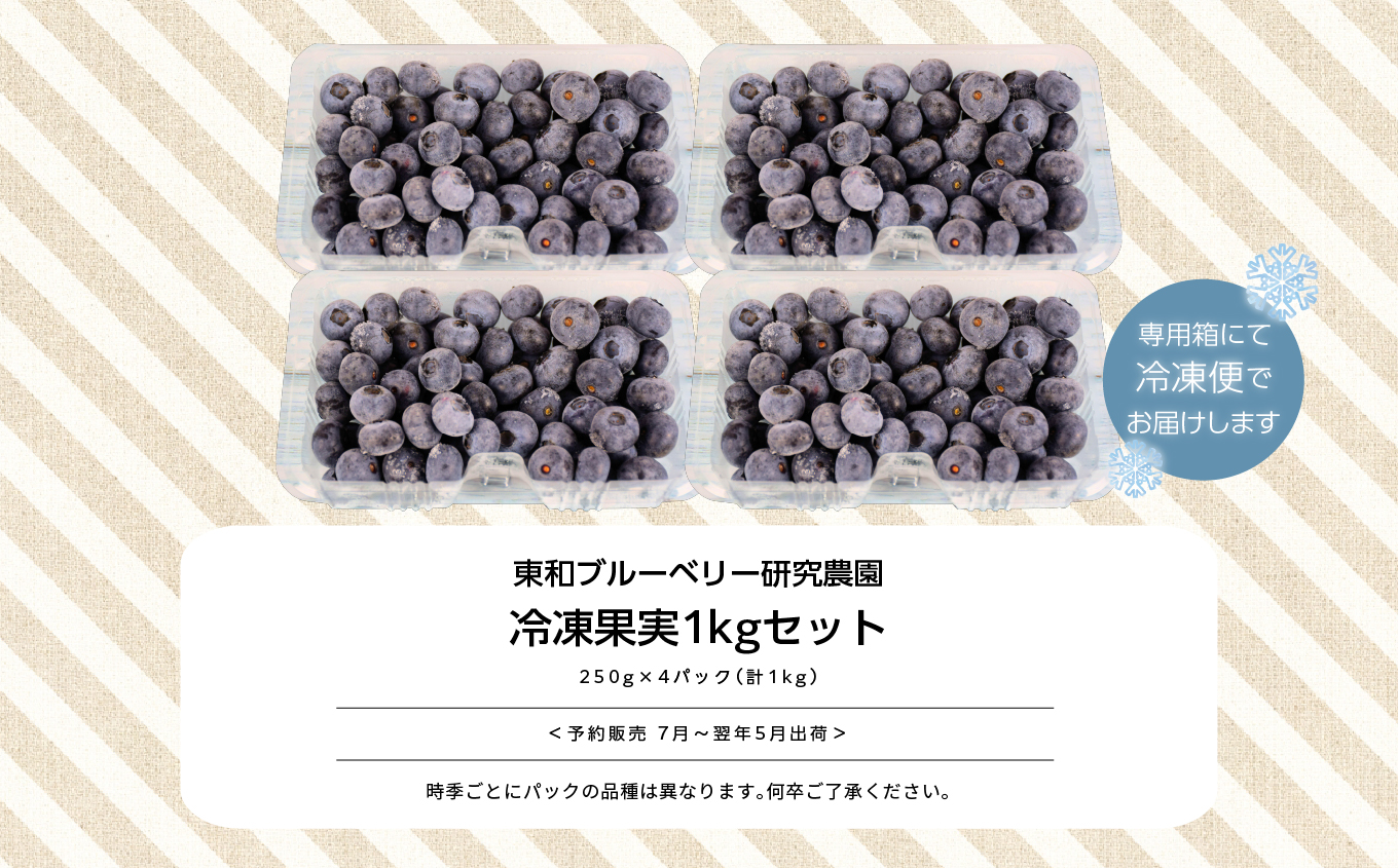 《2025年7月以降順次発送》東京農工大学名誉教授「横山　正」ブランドのブルーベリー冷凍果実1kg（品種おまかせ）【東和ブルーベリー研究農園】