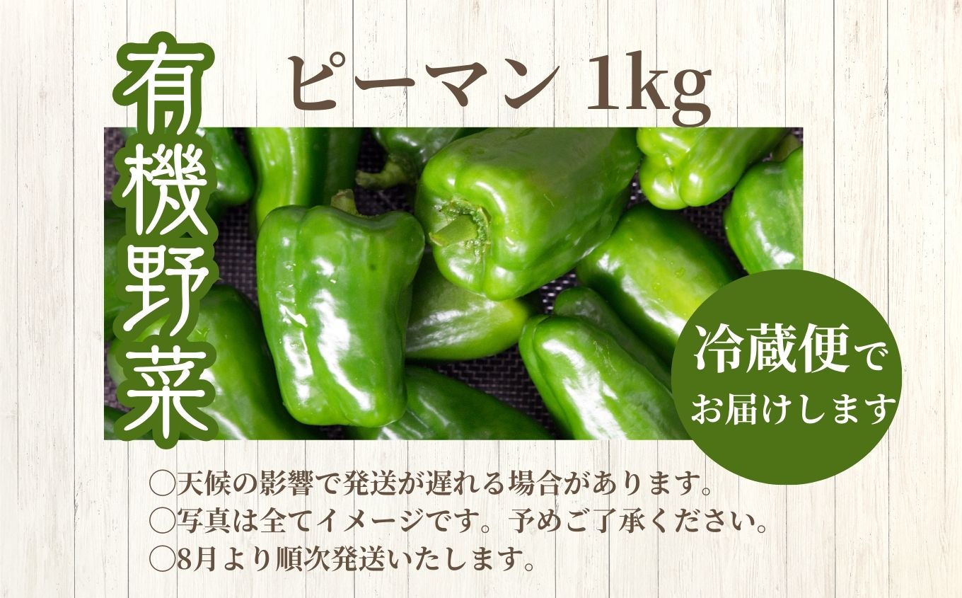 《2026年8月以降順次発送》ピーマン1kg【一般社団法人二本松有機農業研究会】