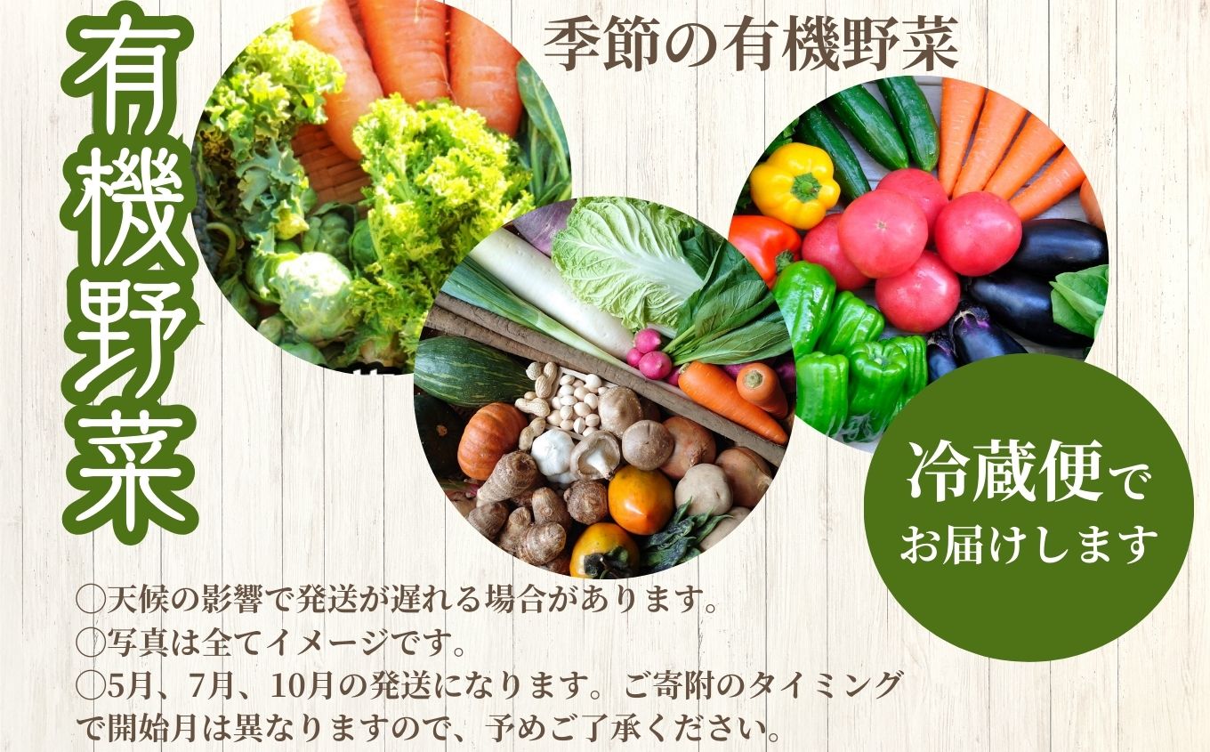 【定期便】全3回！季節の有機野菜セット【一般社団法人二本松有機農業研究会】