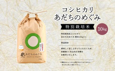 令和7年産 コシヒカリ あだちのめぐみ 10kg【JAふくしま未来 こらんしょ市】