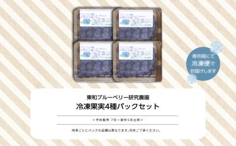 《2025年7月以降順次発送》東京農工大学名誉教授「横山　正」ブランドのブルーベリー冷凍果実500g（4パック）セット（品種おまかせ）【東和ブルーベリー研究農園】