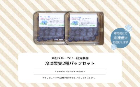 《2025年7月以降順次発送》東京農工大学名誉教授「横山　正」ブランドのブルーベリー冷凍果実250g（2パック）セット（品種おまかせ）【東和ブルーベリー研究農園】
