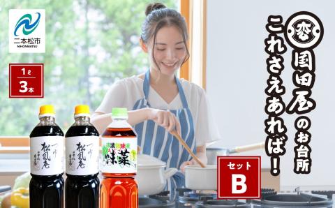 お台所、これさえあればセットB【国田屋醸造】