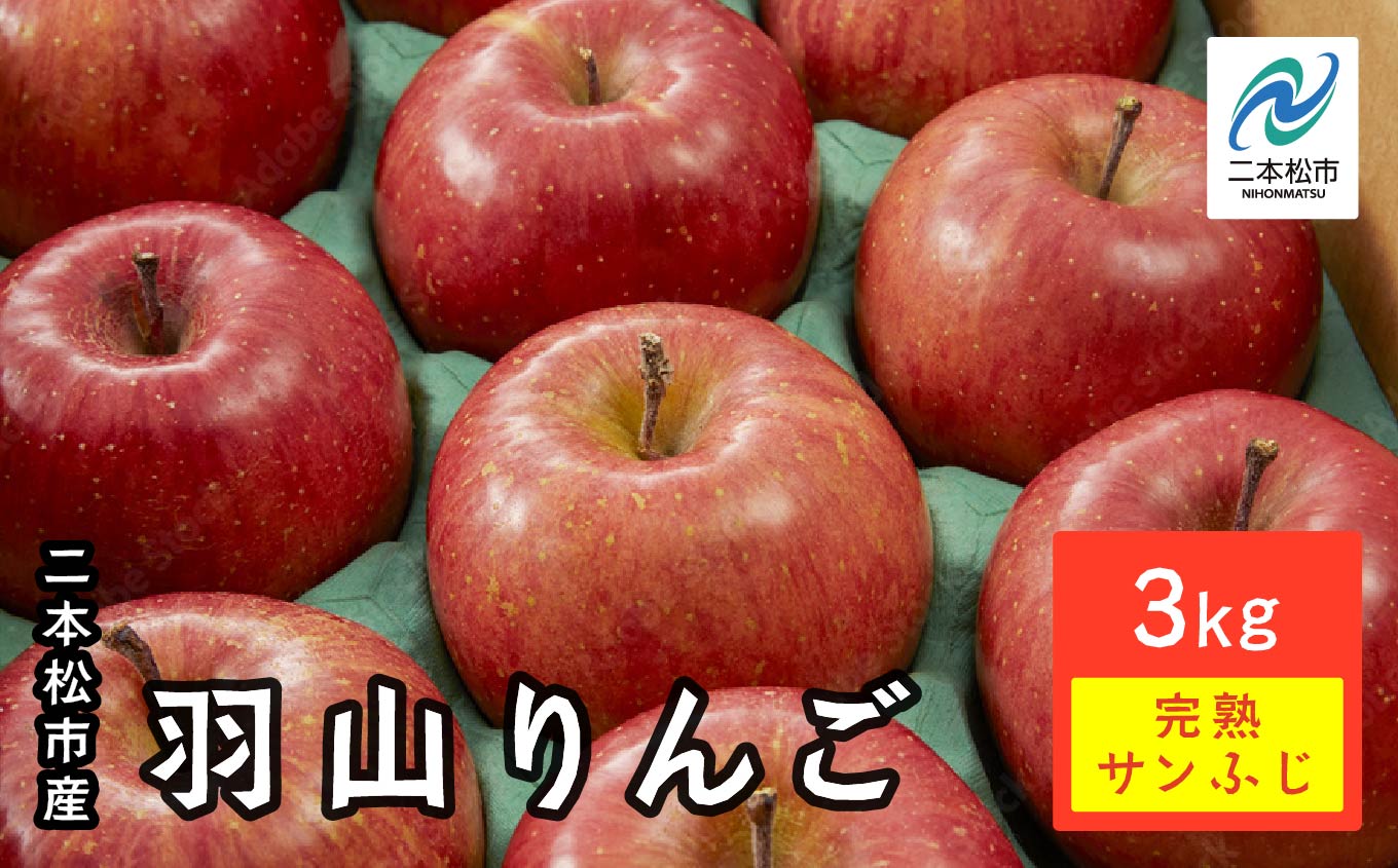 《2025年12月上旬以降発送》羽山りんご 完熟サンふじ 3kg【羽山果樹組合】