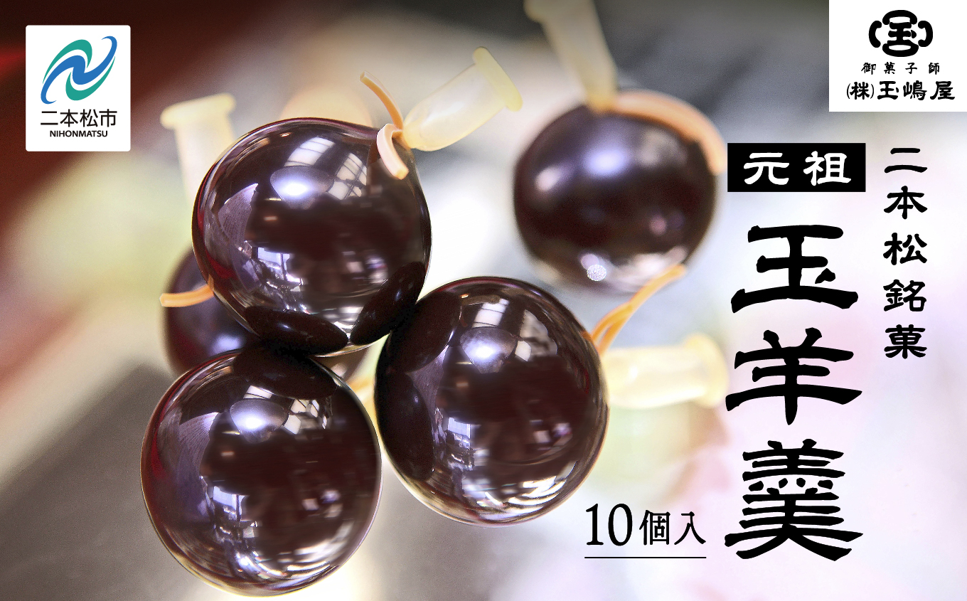 二本松の名物　銘菓《玉嶋屋の玉羊羹》10個入り【御菓子師　玉嶋屋】