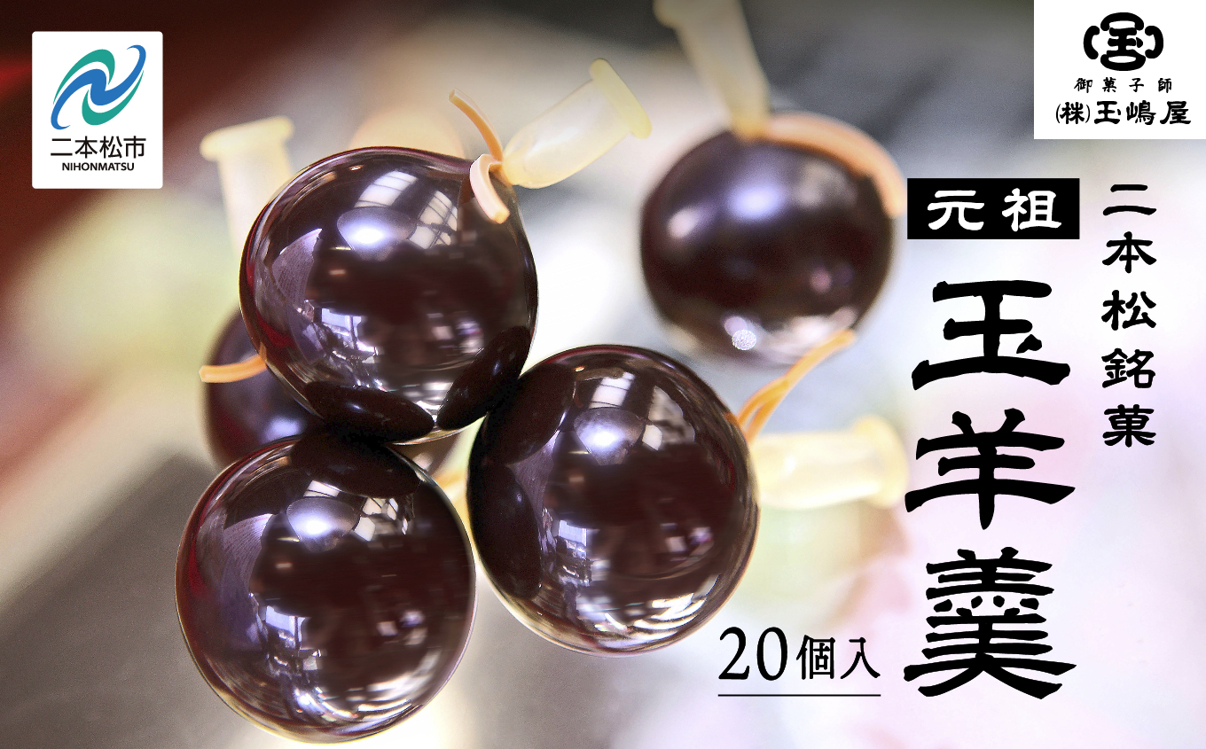 二本松の名物　銘菓《玉嶋屋の玉羊羹》20個入り【御菓子師　玉嶋屋】