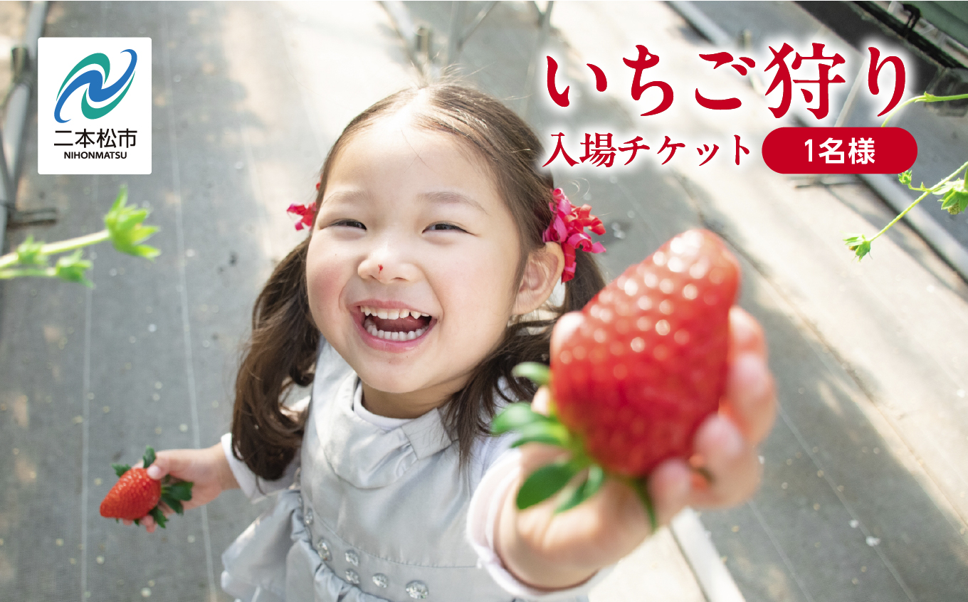 《2026年1月3日～5月23日開園》いちご狩り入場チケット【まるなかファーム株式会社】