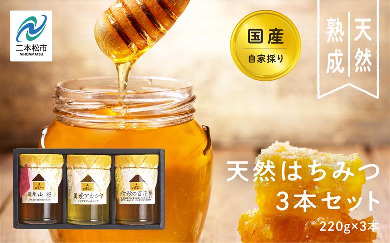 自家採り国産天然はちみつ 3本セット(220g×3)【株式会社渡辺養蜂場】