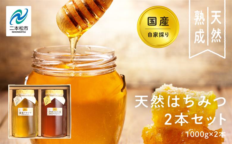 自家採り国産天然はちみつ 2本セット(1000g×2)【株式会社渡辺養蜂場】