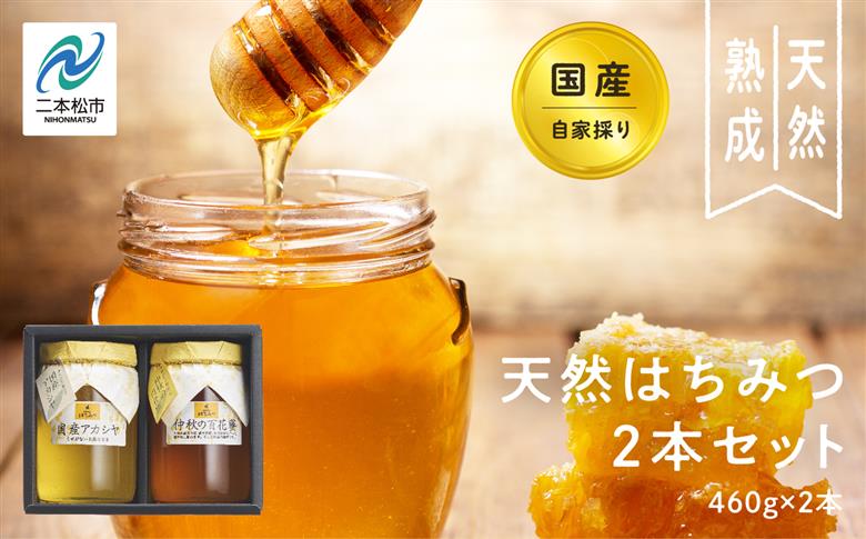 自家採り国産天然はちみつ 2本セット(460g×2)【株式会社渡辺養蜂場】