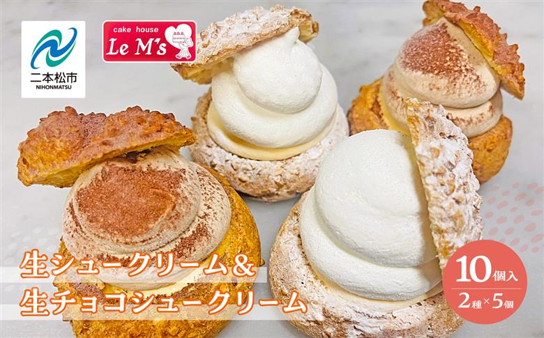 《2026年1月以降順次発送》生シュークリームと生チョコシュークリーム10個入り【ル・エムズ】