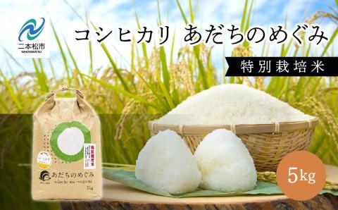 令和7年産 コシヒカリ あだちのめぐみ 5kg【JAふくしま未来 こらんしょ市】