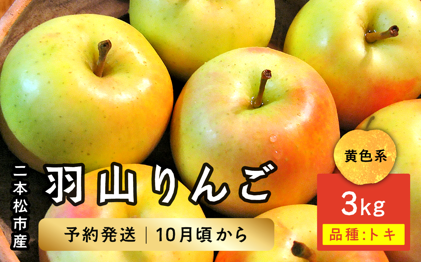 [2024年10月下旬以降発送]羽山のりんご トキ3kg[羽山果樹組合]