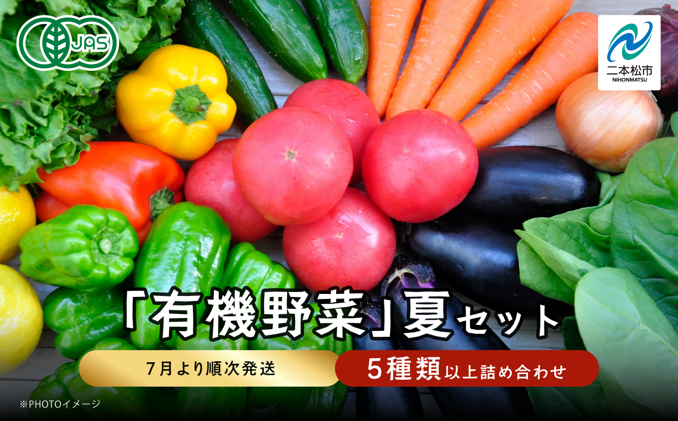 [2024年7月より順次発送]季節の有機野菜「夏セット」[二本松有機農業研究会]