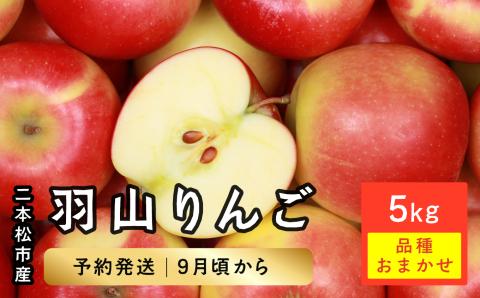 [2024年9月下旬以降発送]羽山りんご品種おまかせ(早生・中生)5Kg[羽山果樹組合]羽山りんご品種おまかせ(早生・中生)5Kg[羽山果樹組合]