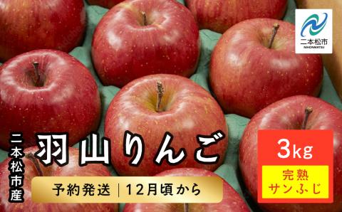 [2024年12月上旬以降発送]羽山りんご 完熟サンふじ 3kg[羽山果樹組合]