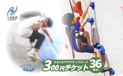 スカイピアあだたら「アクティブパーク」利用チケット 300円×36枚分 チャンスク チャンネルスクエア【F-WORLD】