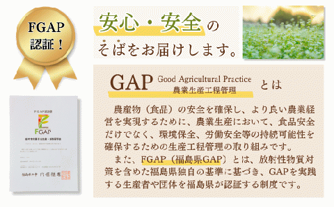 あぶくま高原 そば そば粉 1kg ( 500g × 2個 ) 蕎麦 そば打ち 低GI ダイエット GAP FGAP 国産 おすすめ お中元 送料無料 緊急支援品 生活応援 コロナ支援 福島県 田村市