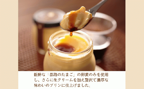 ゆいプリンリッチ 12個 セット ( 6個 × 2箱 ) スイーツ デザート プリン 洋菓子 お菓子 菓子 お取り寄せ 贅沢 濃厚 贈答 ギフト プレゼント お中元 お歳暮 おすすめ 人気 福島県 田村市 福島 ふくしま