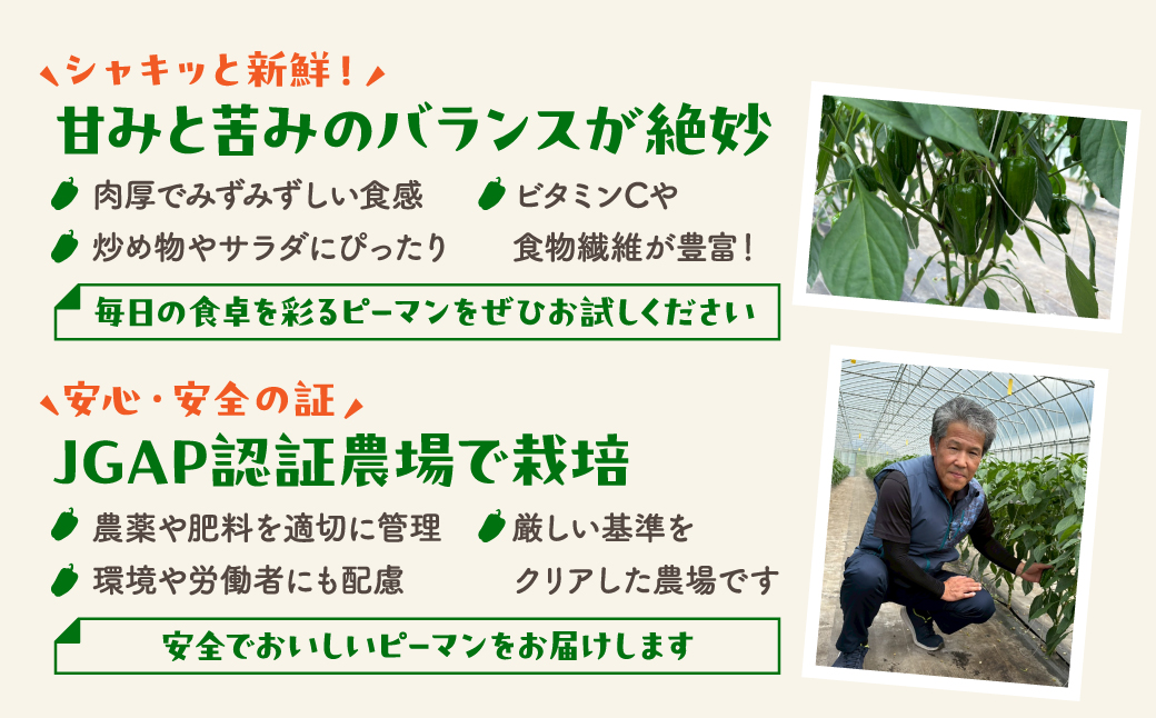 農家さん応援【訳あり】 ピーマン 1kg JGAP取得 農家直送 生活応援 福島県産 田村市 株式会社Mファーム 1kg