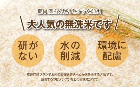 【 無洗米 】 令和7年産  ひとめぼれ 10kg ( 5kg × 2袋 ) 米 お米マイスター 匠 食味鑑定士 福島県産 田村市 安藤米穀店 N010-018-R7