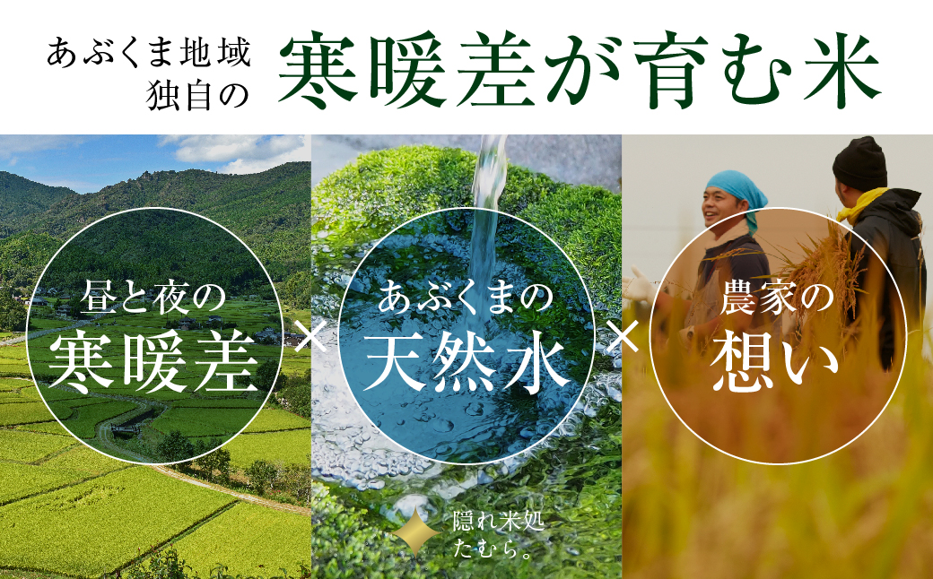 【令和7年産】コシヒカリ 10kg ( 5kg × 2袋 ) 米 一等米 白米 福島県産 田村市 N008-001-R7