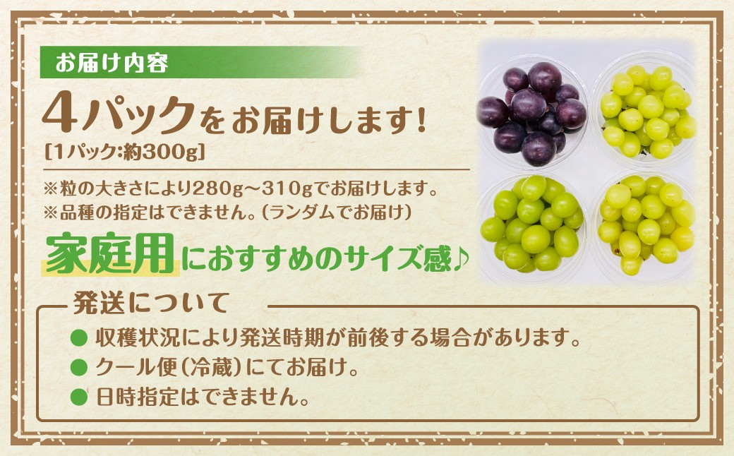 【先行予約 2026年発送】 2～4品種のぶどう食べ比べパック 計約1.2kg 約300g×4 (訳あり粒タイプ) 10月より順次発送 粒パック シャインマスカット バイオレットキング ピオーネ マイハート ゴルビー クイーンニーナ 家庭用 オススメ 福島県 田村市 鈴木農園