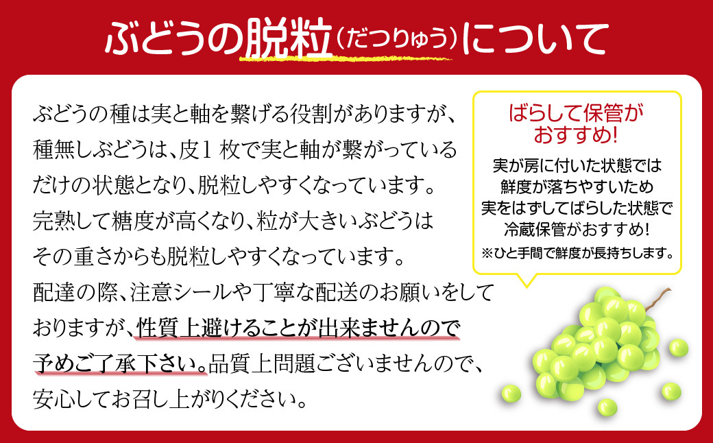 【 先行予約 2026年発送 】 マイハート 1kg 冷蔵 種無し 種なし ブドウ ぶどう シャインマスカット 巨峰 品種 果物 家庭用 甘さ 大粒 美味しい 食べ方 ランキング おすすめ 福島県 田村市 福島 ふくしま 鈴木農園 でんじろうさん