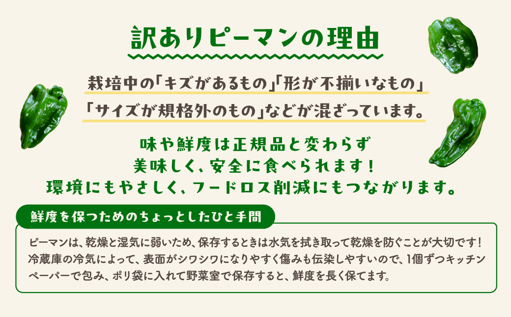 農家さん応援【訳あり】 ピーマン 2kg JGAP取得 農家直送 生活応援 福島県産 田村市 株式会社Mファーム 2kg