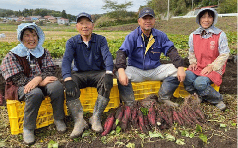 松や農園 の 濃縮さつま芋甘酒3本セット 3本 さつまいも サツマイモ 甘酒 あまざけ べにはるか ノンアルコール 米麹 腸活 人気 ランキング 贈答 ギフト プレゼント 福島県 田村市 ふくしま た