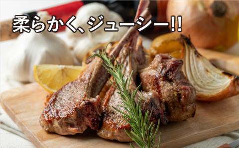 ラムチョップ 500g 1パック 冷凍保存 肉 ラム BBQ 焼肉 高タンパク 低カロリー ハーブ ソルト らむ 500G 人気 ランキング おすすめ グルメ ギフト 福島県 田村市 福島 田村 ふくしま 川合精肉店 N009-007