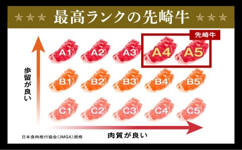 【 先崎牛 】 あぶくま高原 「 サーロインステーキ 200g × 2枚 」 黒毛和牛 牛肉 牛 ブランド 高級肉 ギフト 贈答 プレゼント 福島県 田村市 ふくしま たむら 東和食品