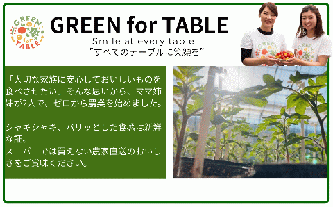 ミニトマト サンチェリー 1kg 7月発送 トマト 新鮮 野菜 農家直送 1キロ 人気 おすすめ ギフト 贈答 プレゼント 福島県 田村市 田村 GREEN for TABLE N047-001