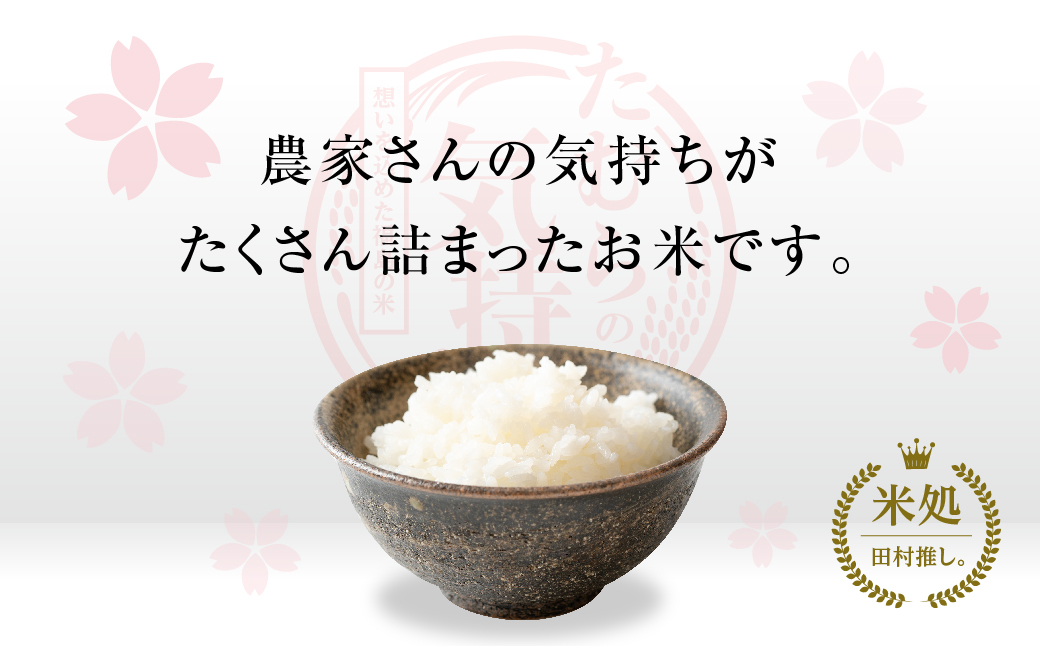 【令和7年産】コシヒカリ 10kg ( 5kg × 2袋 ) 米 一等米 白米 福島県産 田村市 N008-001-R7