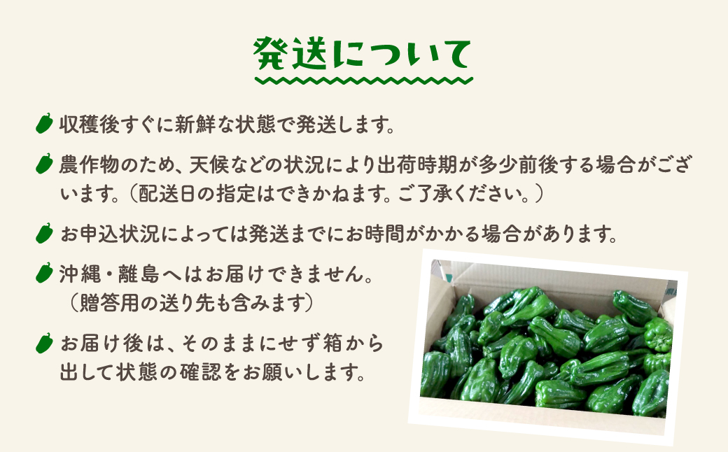 農家さん応援【訳あり】 ピーマン 1kg JGAP取得 農家直送 生活応援 福島県産 田村市 株式会社Mファーム 1kg