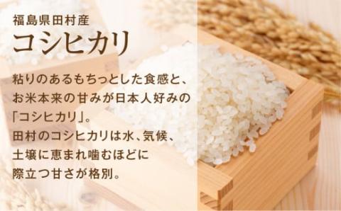 【 令和7年産 】 コシヒカリ 10kg ( 5kg × 2袋 )  精米 白米お米マイスター 匠 食味鑑定士 福島県産 田村市 安藤米穀店 N010-002-R7