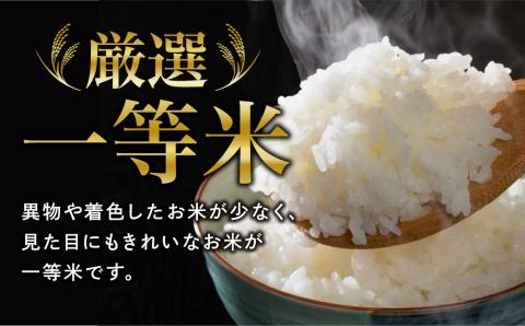 令和5年産 】田村産 天のつぶ20kg(5kg×4袋) お米 福島県 田村市 田村