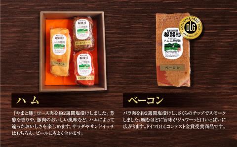 【毎月お届け全12回】 ハム ・ ベーコン ・ ソーセージ 詰合せ 定期便 セット やまと豚 DLG 金賞 おかず 焼くだけ のし 熨斗 ギフト お歳暮 プレゼント 人気 ランキング おすすめ 福島県