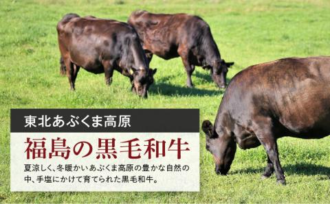 【 先崎牛 】 あぶくま高原 「 サーロインステーキ 200g × 2枚 」 黒毛和牛 牛肉 牛 ブランド 高級肉 ギフト 贈答 プレゼント 福島県 田村市 ふくしま たむら 東和食品