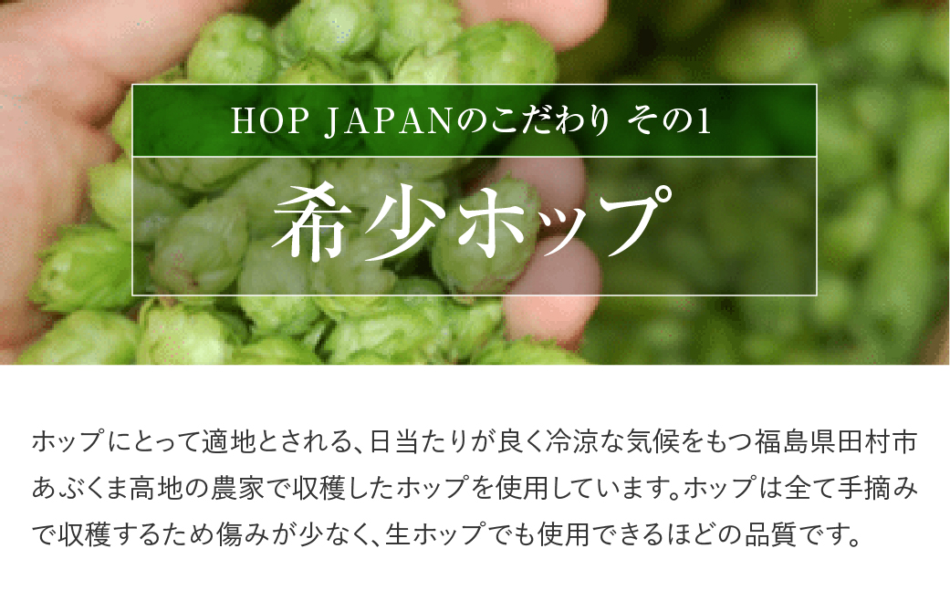 【回数が選べる 定期便 】 クラフトビール 4本セット 3回コース IPA White ビール お酒 アルコール 飲み比べ ホップ 地ビール 地酒 ギフト 贈答 プレゼント 福島県 田村市 福島 ふくしま HOPJAPAN ホップジャパン