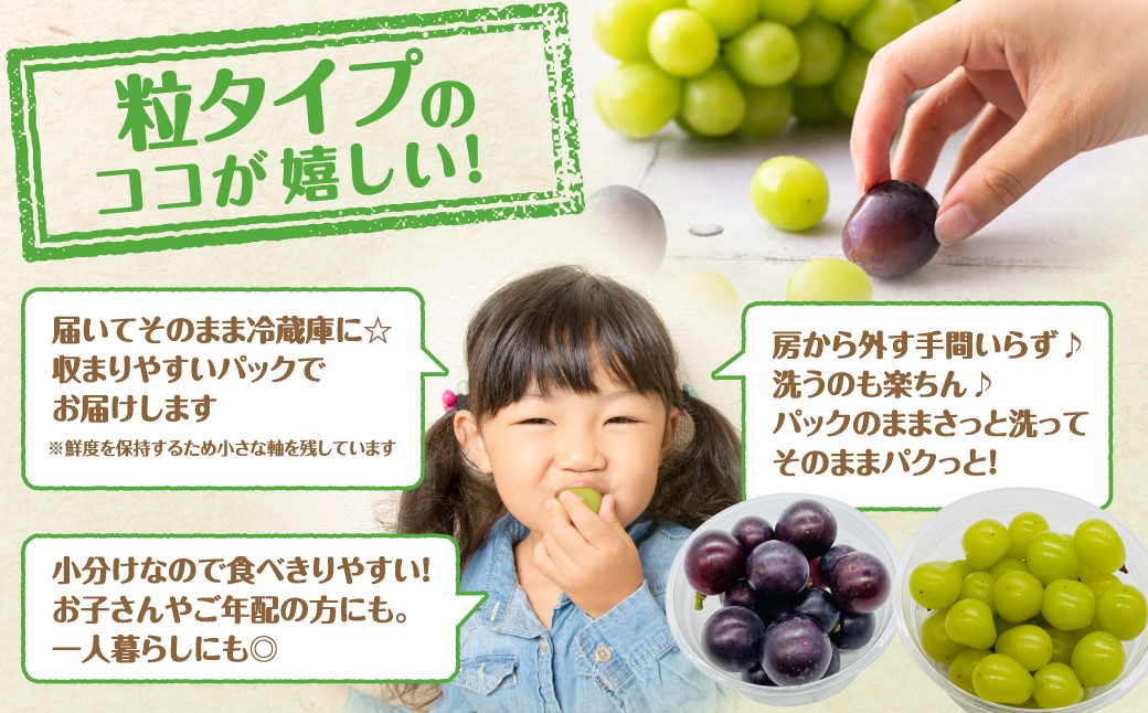 【先行予約 2026年発送】 2～4品種のぶどう食べ比べパック 計約1.2kg 約300g×4 (訳あり粒タイプ) 10月より順次発送 粒パック シャインマスカット バイオレットキング ピオーネ マイハート ゴルビー クイーンニーナ 家庭用 オススメ 福島県 田村市 鈴木農園