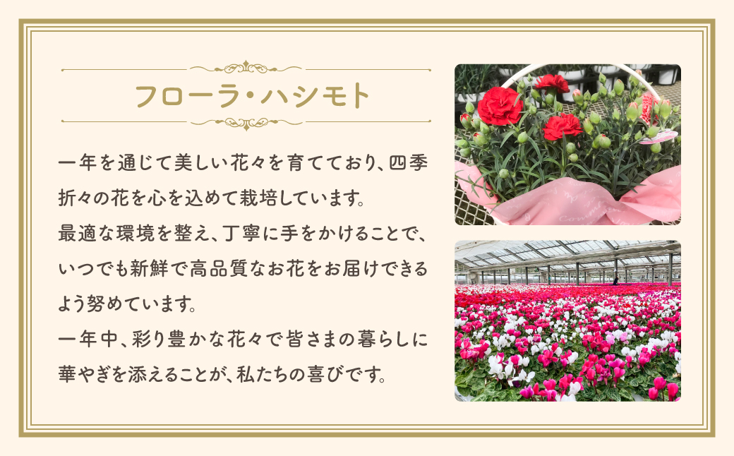 【 先行受付：令和7年5月11日の母の日 】 クレマチス 「 エールフクシマ 」 5号鉢 ラッピング付き 母の日直前にお届け 2025年 お母さんへの心を込めた贈り物 長持ち 鉢植え フラワーセット プレゼント 送料無料 故郷納税 福島県 田村市 フローラハシモト N052-007