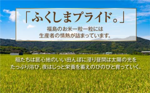 【 令和7年産 】 コシヒカリ 10kg ( 5kg × 2袋 )  精米 白米お米マイスター 匠 食味鑑定士 福島県産 田村市 安藤米穀店 N010-002-R7