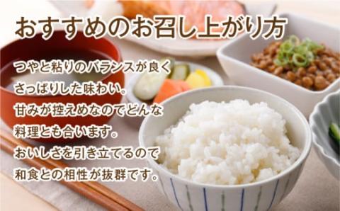 【 令和7年産 】 ひとめぼれ 10kg ( 5kg × 2袋 )  精米  お米マイスター 匠 食味鑑定士 福島県産  田村産 安藤米穀店 N010-014-R7