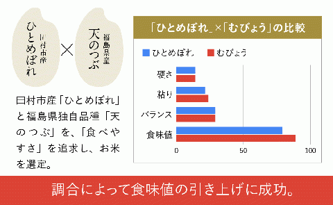【 令和7年産 】 ＼独自調合米／ むびょう 10kg (5kg×2袋) 選べる容量 ブレンド ひとめぼれ 天のつぶ 米 白米 精米 精米仕立てを発送 ギフト 贈答 プレゼント イチオシ 福島県 田村市 山吉吉田商店 N085-002-R7 10kg（5kg×2袋）